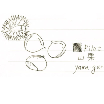 Pilot - Fountain Pen Ink Iroshizuku Yama-Guri Ink-50-Yg
