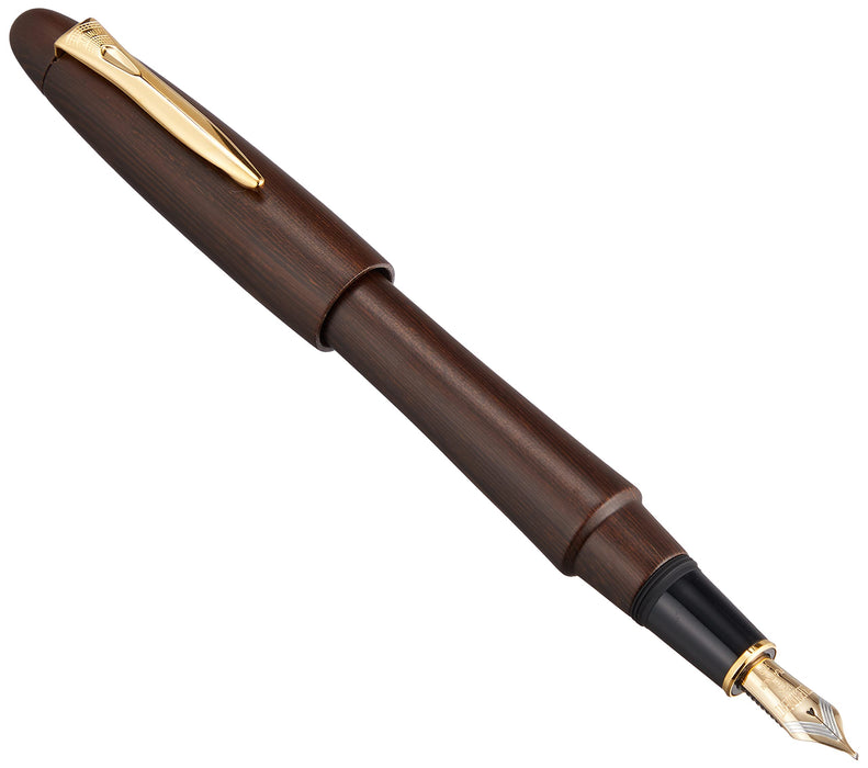 Platinum Izumo Tetsutoki Bold 钢笔，哑光饰面，带两用转换器