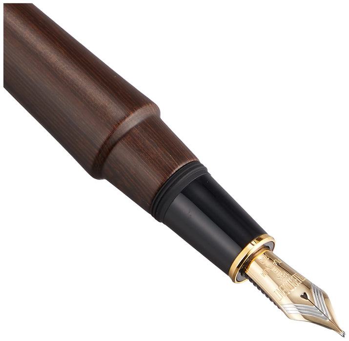 Platinum Izumo Tetsutoki Bold 钢笔，哑光饰面，带两用转换器