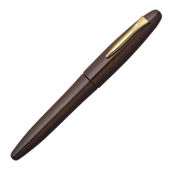 Platinum Izumo Tetsutogi Gloss B Bold Fountain Pen Piz-50000T 21-4 Dual-Use