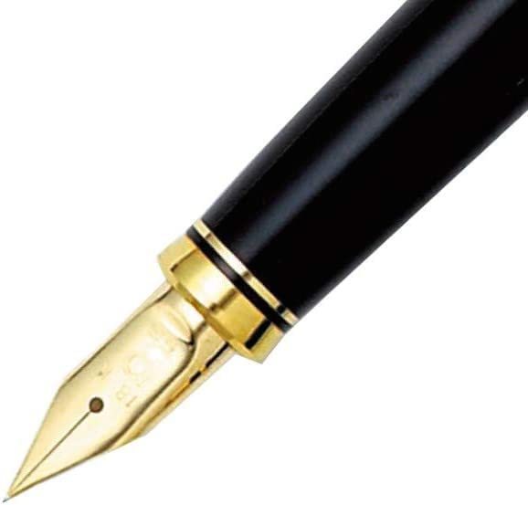白金品牌细头钢笔 - 现代莳绘梅花和夜莺设计