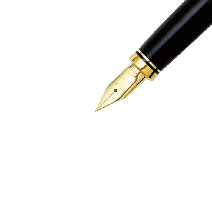 铂金钢笔 中号笔尖，现代莳绘鹤设计，两用