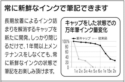 Platinum Plaisir Medium Point Fountain Pen in Blue PGB-1000#56-3 Model