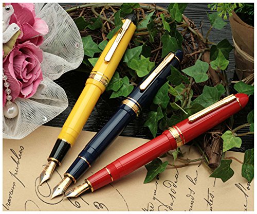 Platinum Fine Point President Fountain Pen Black - Model PTB-20000P1-2