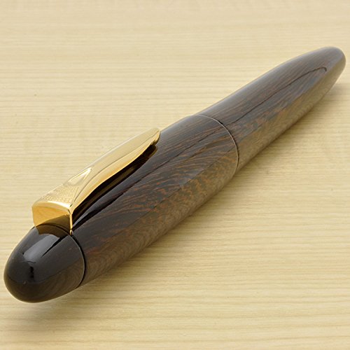 Medium Point Platinum Izumo Tetsutoki Fountain Pen by Platinum Fountain Pen