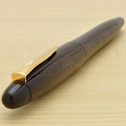 Medium Point Platinum Izumo Tetsutoki Fountain Pen by Platinum Fountain Pen