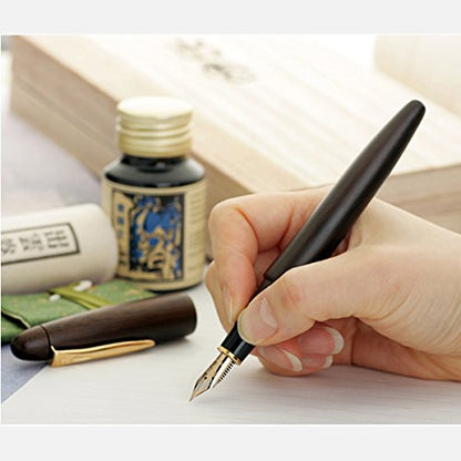 Platinum Izumo Tetsutoki Medium Point Fountain Pen Matt Tagayasan Finish PIZ-50000T#20