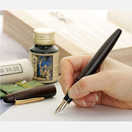 Platinum Izumo Tetsutoki Medium Point Fountain Pen Matt Tagayasan Finish PIZ-50000T#20