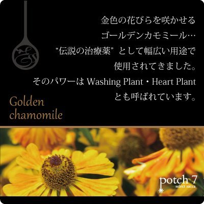 Pola Aroma Esse Gold Scented Body Soap 470ml - Luxurious Skin Care