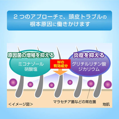 Medic Quick H Scalp Medical Shampoo 320Ml Anti-Dandruff & Itch Relief