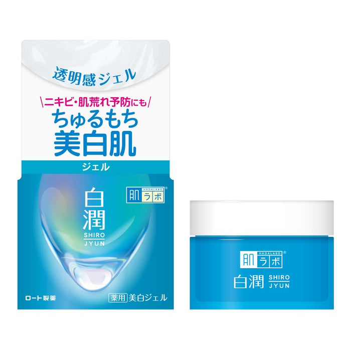 Now Two Rohto Hada Labo Hydrating Face Cream 100G Moisturizing Formula