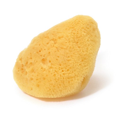 Rosie Rosa Natural Sea Sponge Medium - Softens with Water for Makeup Removal and Face Washing