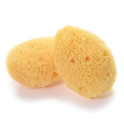 Rosie Rosa Natural Sea Sponge S Size 2pc - Soft for Makeup Removal & Face Washing