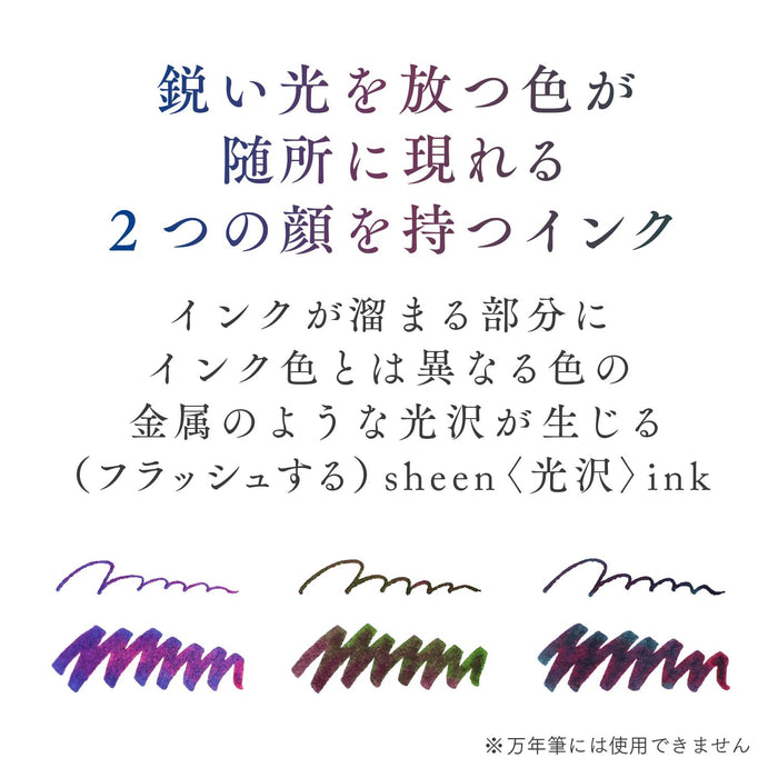 Sailor Fountain Pen Set with Hocoro Dip Ink - Dark Cave Scene Brush Letters 10-0251-703