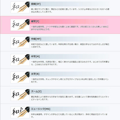 Sailor Facine Fine Point Fountain Pen - Elegant White 11-0725-210