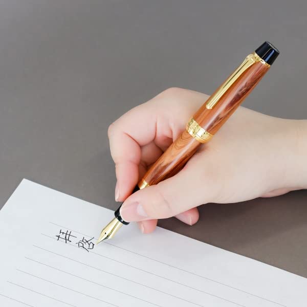 Sailor 钢笔中号笔尖限量版广岛工厂竣工纪念海都卡伊吹 10-8072-401