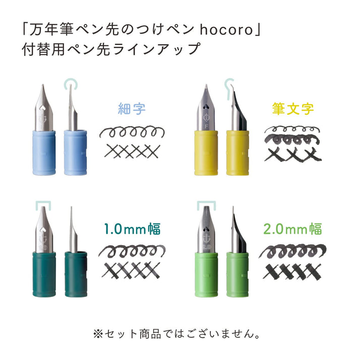Sailor 鋼筆，帶 Hocoro 替換筆尖 2.0 毫米寬 - 理想的蘸水筆