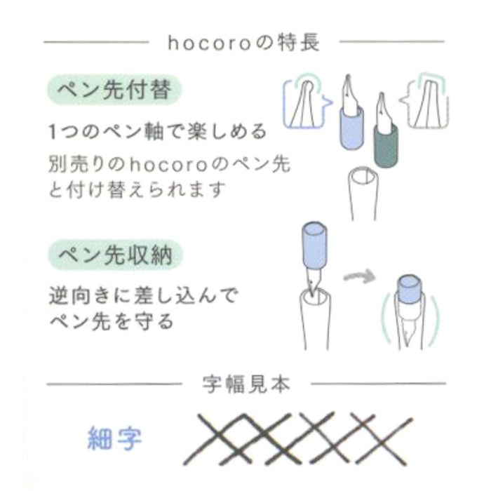 Sailor 钢笔 灰色 Hocoro 细头 (F) 蘸墨沼泽 12-0135