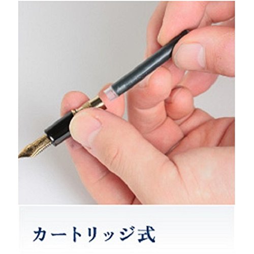 Sailor Fountain Pen with Goku Black Pigment Ink Cartridge 13-0604-120