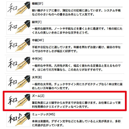 Sailor Fountain Pen Fountain Pen Profit 21 Black Zoom 11-2021-720