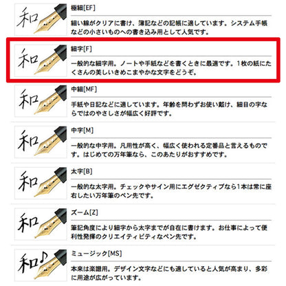 SAILOR Profit 21 Fountain Pen 1911 White F 11-2021-210