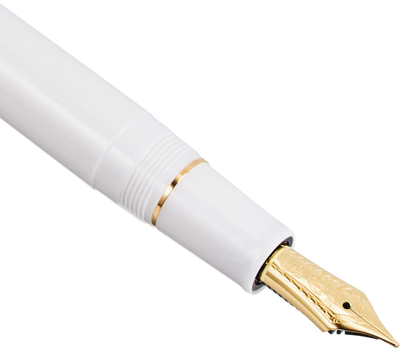 SAILOR Profit 21 Fountain Pen We Ms 11-2021-910