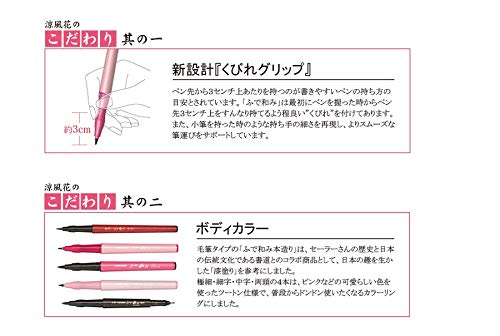 Sailor 钢笔 酷风花 细头 两支装 和美笔 27-3154-020