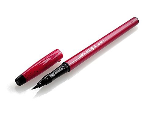 Sailor Fountain Pen Fudewami Honzukuri Suzukazehana Elegant Writing Tool