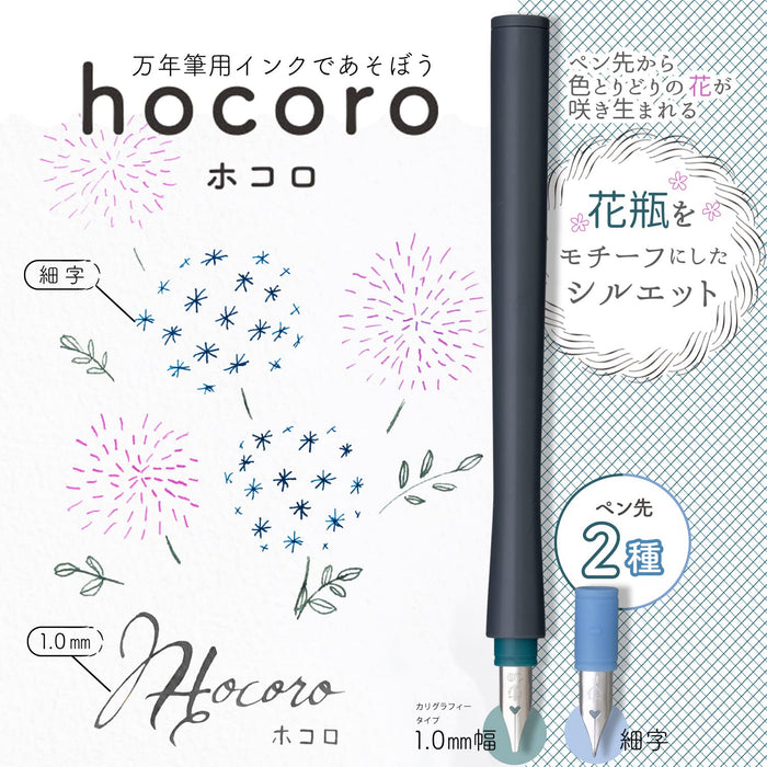 Sailor Fountain Pen Fine Point 1.0mm Nib Hocoro Double Gray Model 12-0220-021