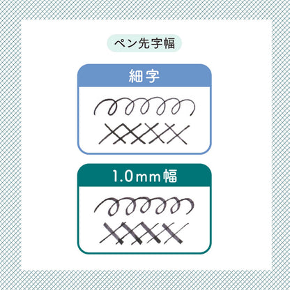 Sailor Fountain Pen Hocoro Double White Fine Point 1.0mm Width 12-0220-010