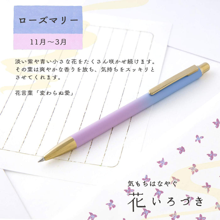 Sailor Fountain Pen Oil-Based 0.7mm Ballpoint Rosemary Flower Color 17-2402-240
