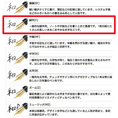 SAILOR - Profit 21 Fountain Pen 1911 Black F 11-2021-220