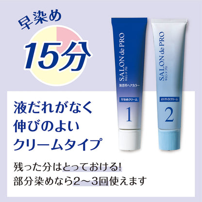 Salon De Pro Gray Hair Dye Fragrance-Free Quick Dye Cream 1 Very Light Brown