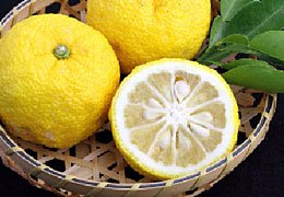 Sameura Pure Yuzu Juice 120ml - Hand Squeezed 100% Natural Flavor