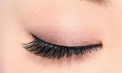 Japan D-Up Rich Series 805 Eyelash
