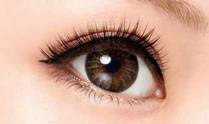 Japan D-Up Rich Series 805 Eyelash