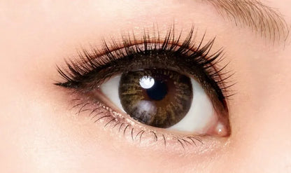 Japan D-Up Rich Series 805 Eyelash