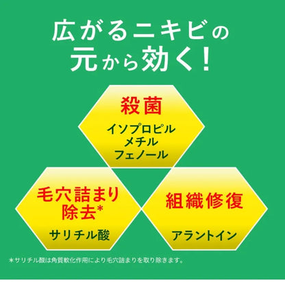 Mentholatum Acnes 25 Medical Mist B 100Ml (2 Drugs) - Japan