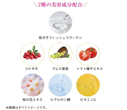 SHISEIDO The Collagen Powder 126g