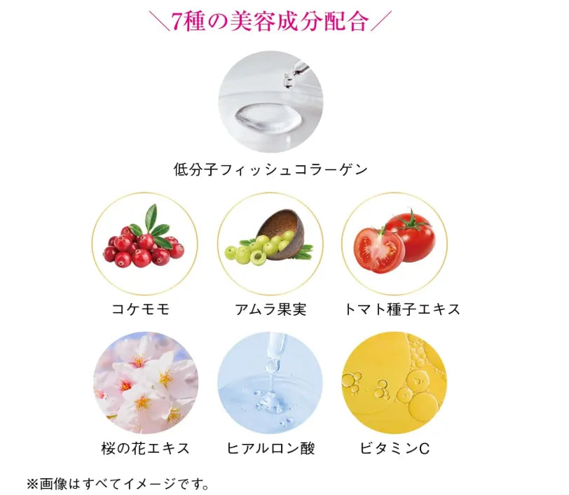 SHISEIDO The Collagen Powder 126g