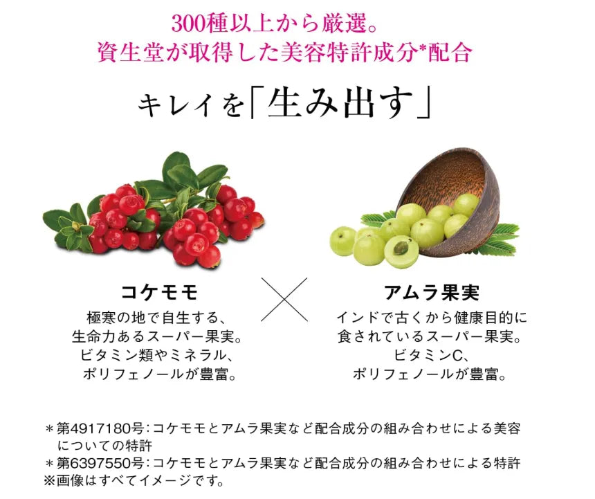 SHISEIDO The Collagen Powder 126g