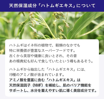 Hatomugi - Skin Conditioner (500ml) - Japanese Skincare