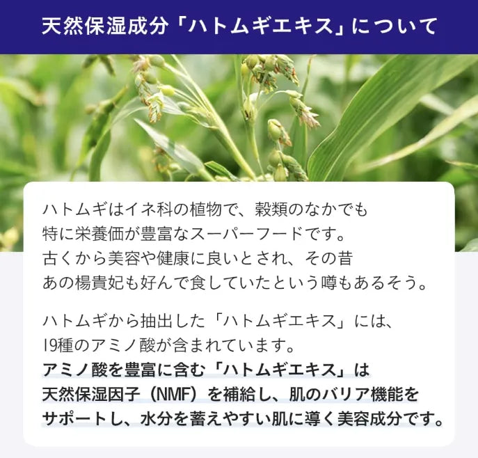 Hatomugi - Skin Conditioner (500ml) - Japanese Skincare