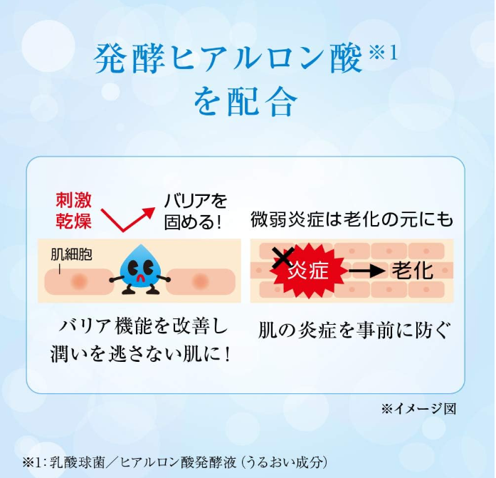 Hada Labo Gokujyun Hyaluronic Lotion Light (170ml) - Japanese Skincare