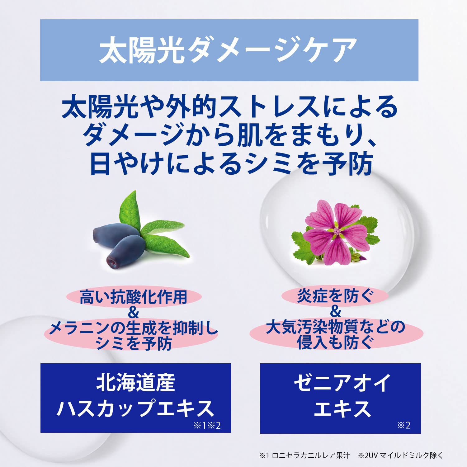 Sekkisei UV Tone Up Sunscreen SPF 35 PA+++ 70g Lavender Moisturizing Care