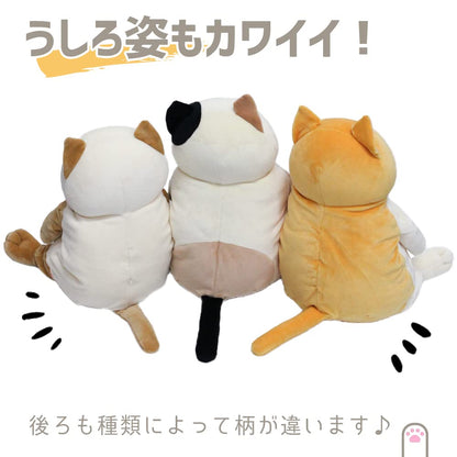 Shinada Global Plush Cat Mochi Series Neko Hachiware Orange Medium 14x14x22 cm