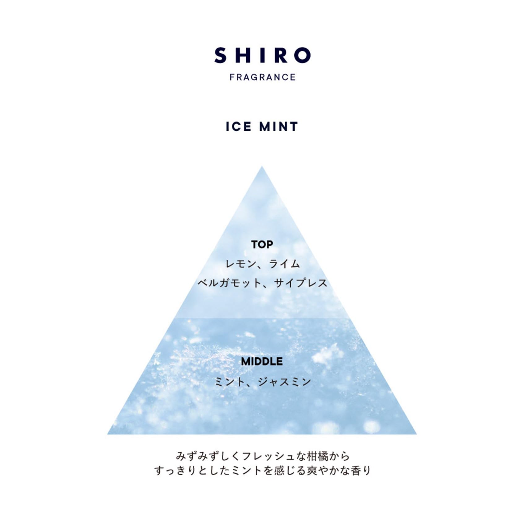 Shiro Ice Mint Body Scrub for Refreshing and Smooth Skin