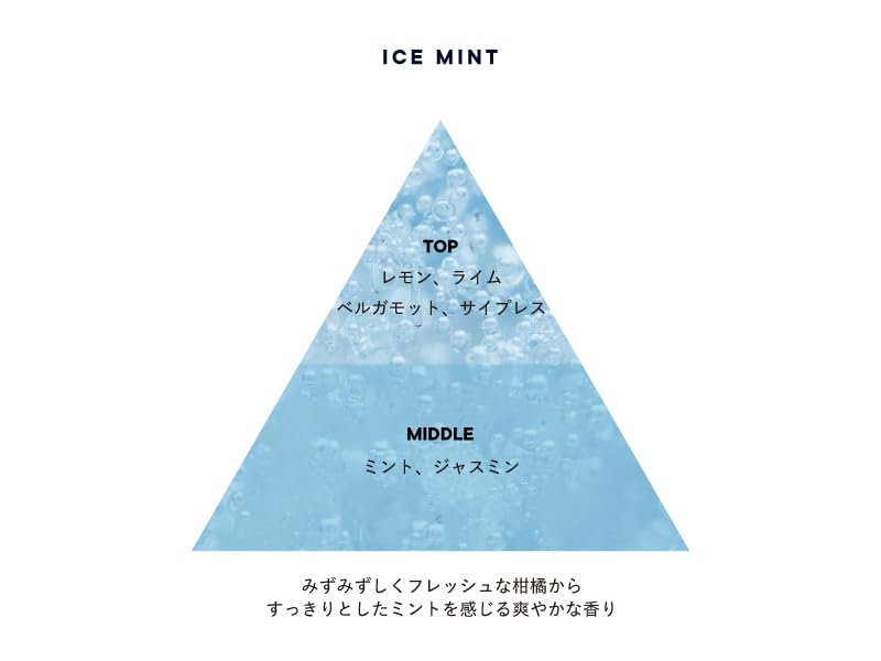 Shiro Ice Mint Conditioner 270G Refreshing Hair Care Solution