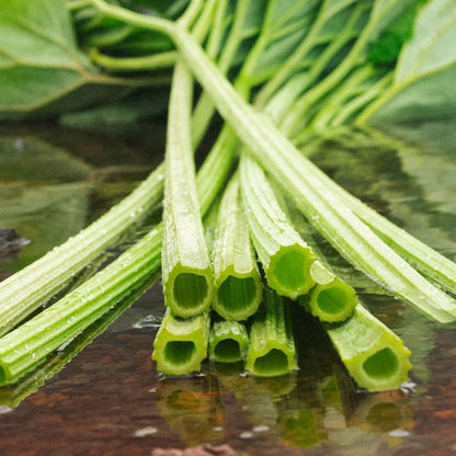 Shiro Lauan Gentle Face Wash 150 มล. สำหรับการดูแลผิวที่สดชื่น