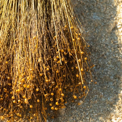 Shiro Flax Oil 50ml Natural Cold-Pressed Oil for Health and Wellness